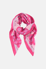 Load image into Gallery viewer, Fabienne Chapot Paola scarf
